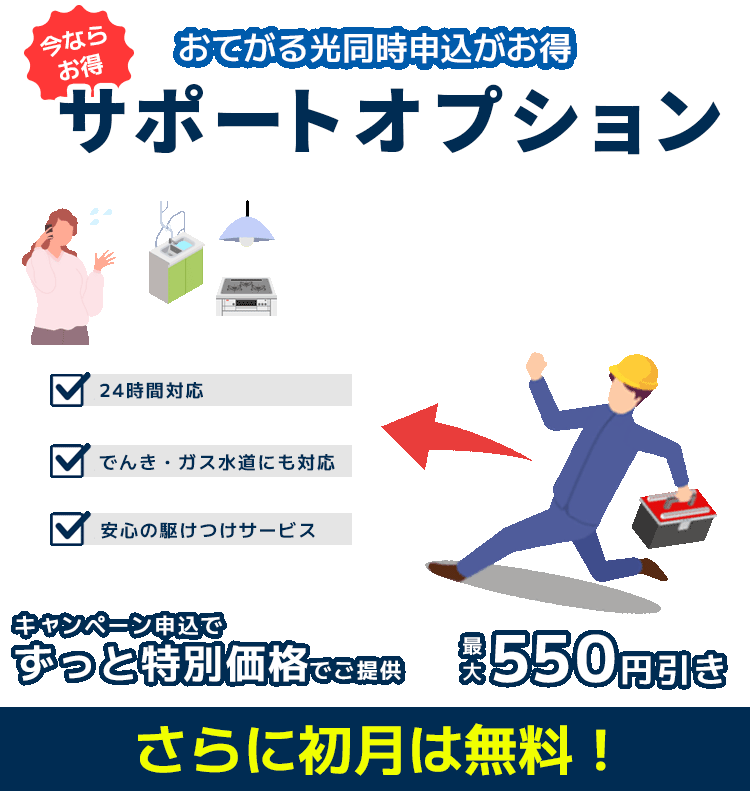 サポートオプション