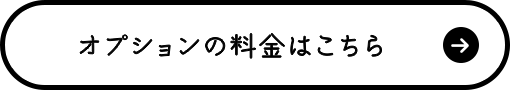 オプションの料金はこちら